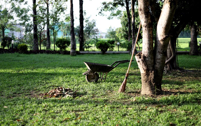 carretilla en el campo servicio de jardinería