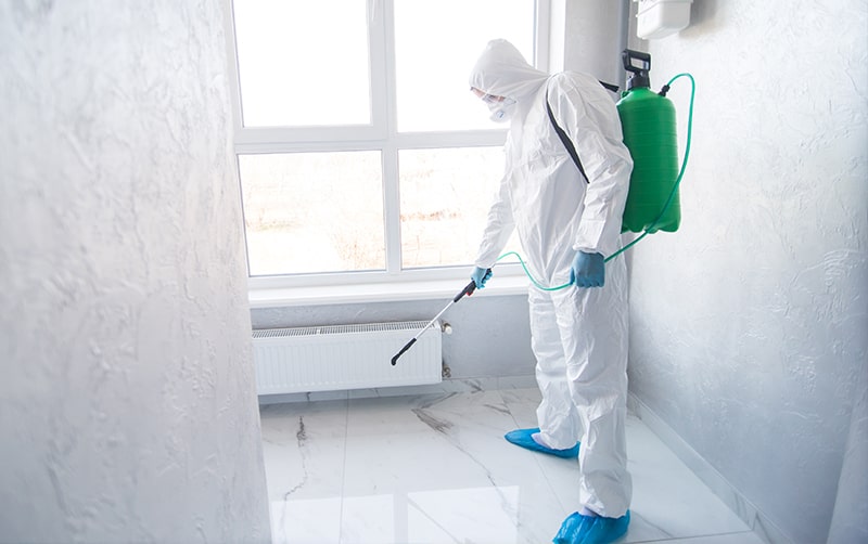 servicio-de-desinfeccion-desinsectacion-desratizacion Imagen del Servicio D+D+D