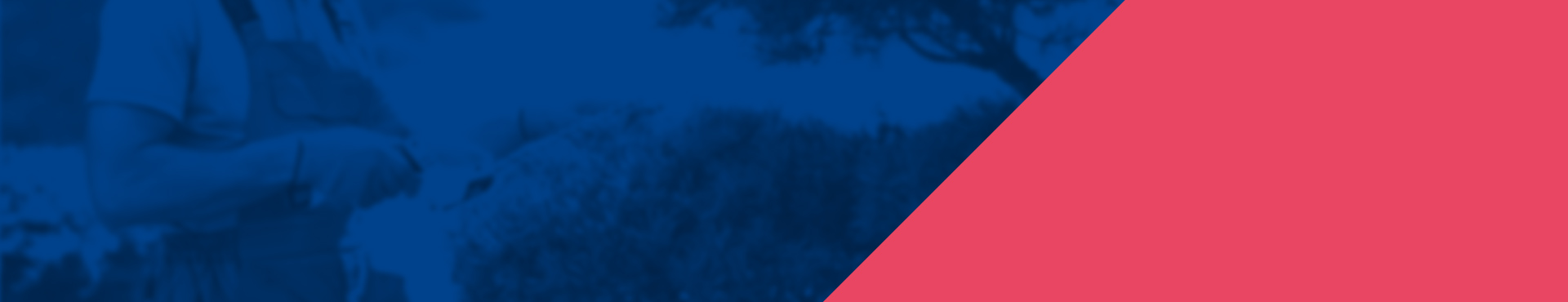 bg-banner-contacto-servicios-jardineria