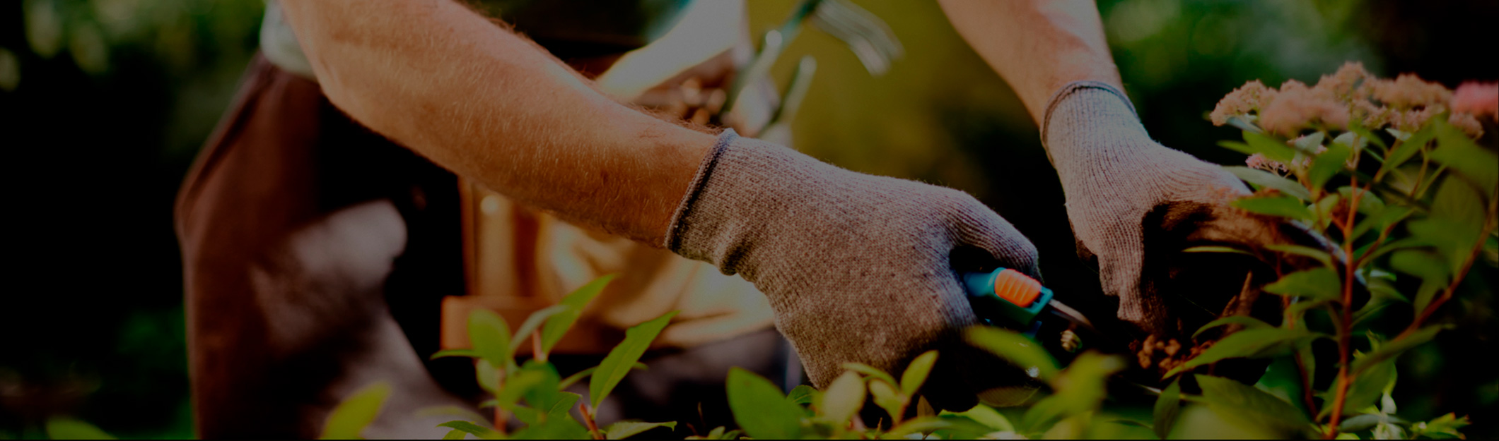 bg-header-servicios-jardinería