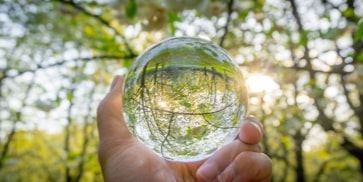 Consultoría ambiental