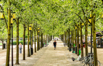 img-jardineria-arbolado-viario