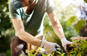 img-jardineria-parques-jardines